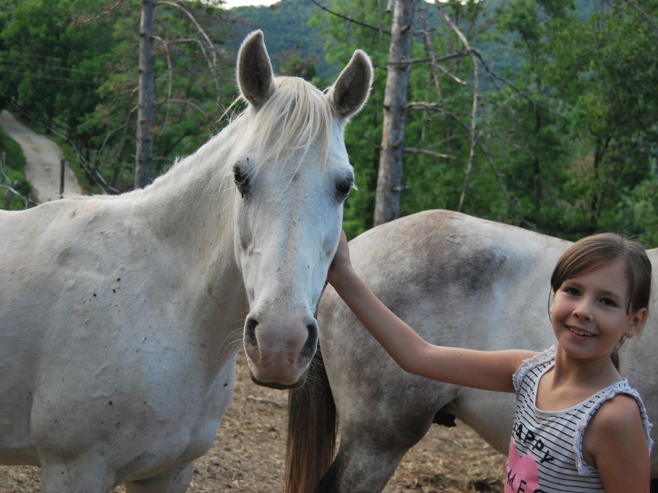 casa-rural-caballos-camprodom