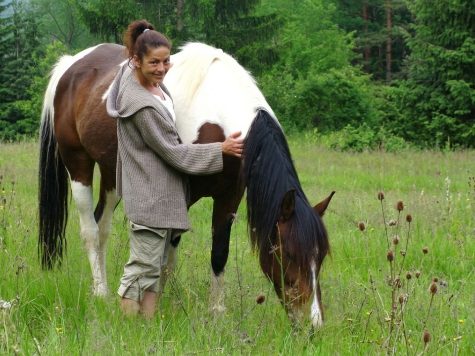 casa-rural-caballos-pirineos