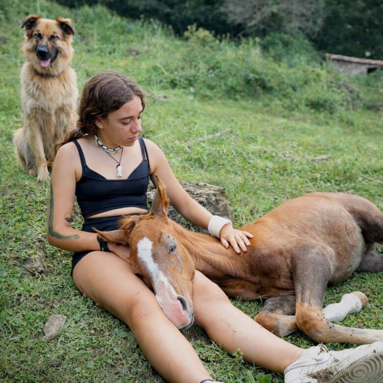 Colonias con Caballos