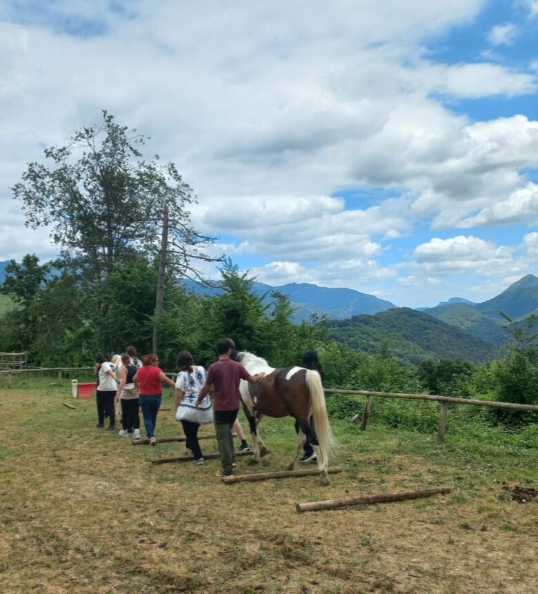 Experiencias con caballos en Camprodon